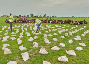 Distribution of emeergency livelihod inputs in Pariang County, Unity State.