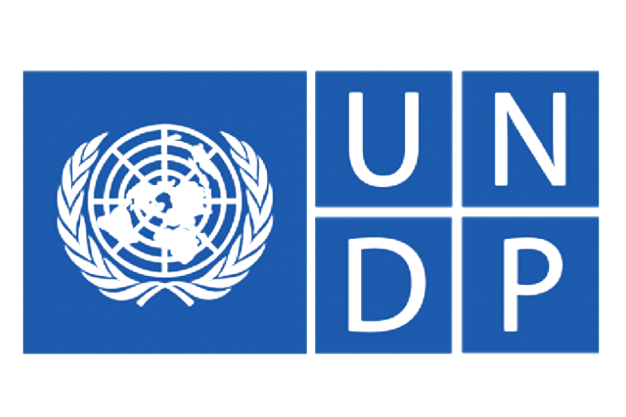 UNDP Logo_2